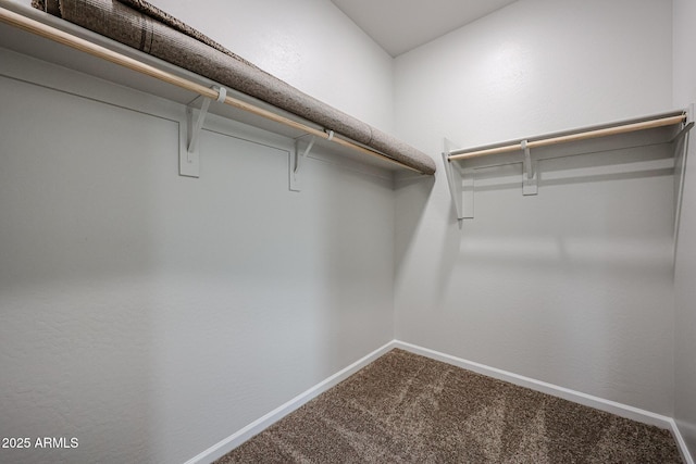 1917 S 246th Ln, Buckeye, AZ 85326 - walk in closet featuring carpet flooring