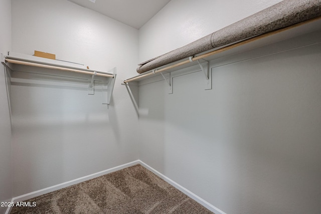 1917 S 246th Ln, Buckeye, AZ 85326 - walk in closet featuring carpet