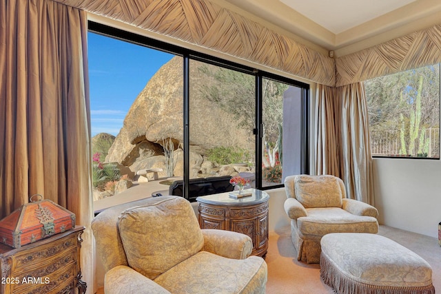 sitting room featuring carpet floors