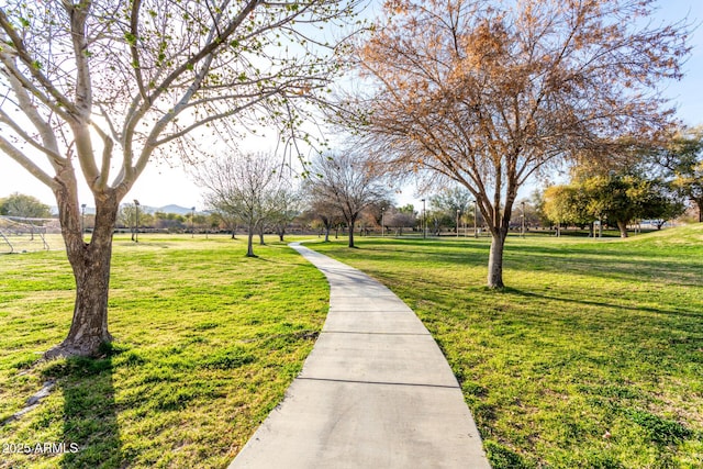 view of home's community featuring a yard