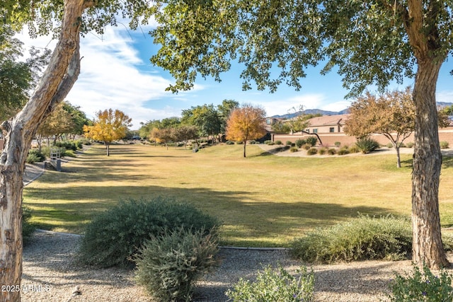 view of home's community with a yard