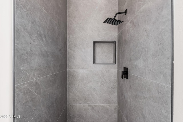 4561 E Red Bird Ln, San Tan Valley, AZ 85140 - full bath with tiled shower