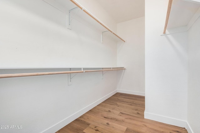 4561 E Red Bird Ln, San Tan Valley, AZ 85140 - spacious closet with light wood-type flooring