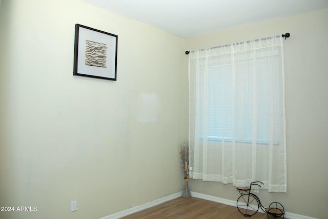 empty room featuring wood-type flooring