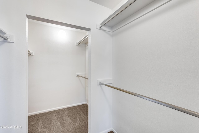 spacious closet with carpet floors