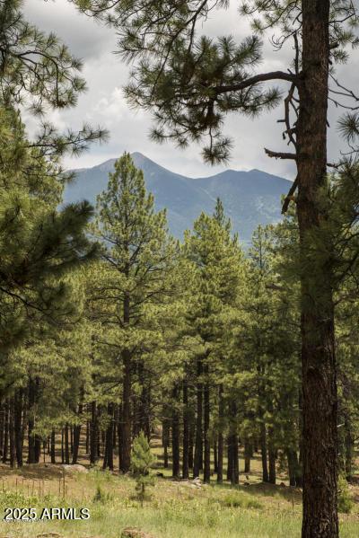 Listing photo 3 for 9245 Coyote Pass -, Unit Flagstaff AZ 86001