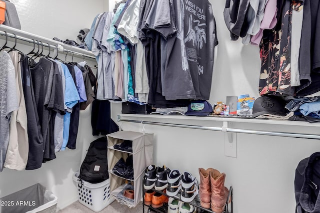 spacious closet featuring carpet