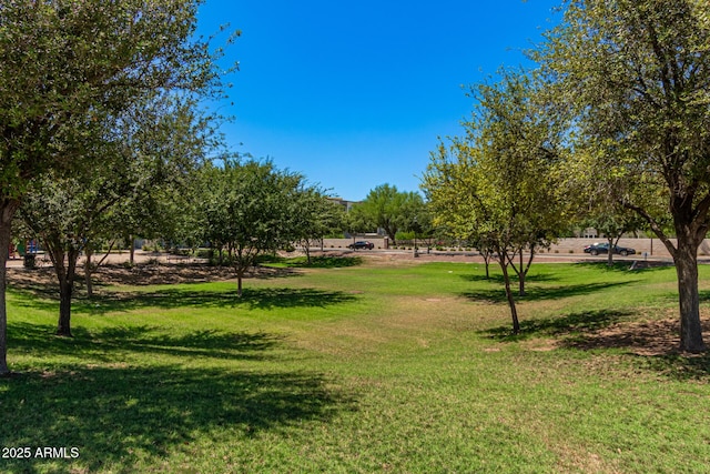 view of home's community featuring a yard
