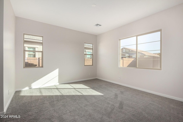 spare room with carpet and a wealth of natural light