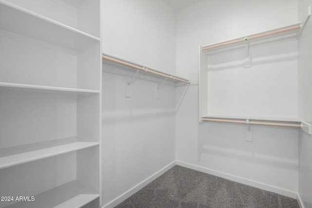 walk in closet with carpet