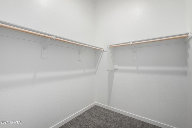 spacious closet featuring carpet