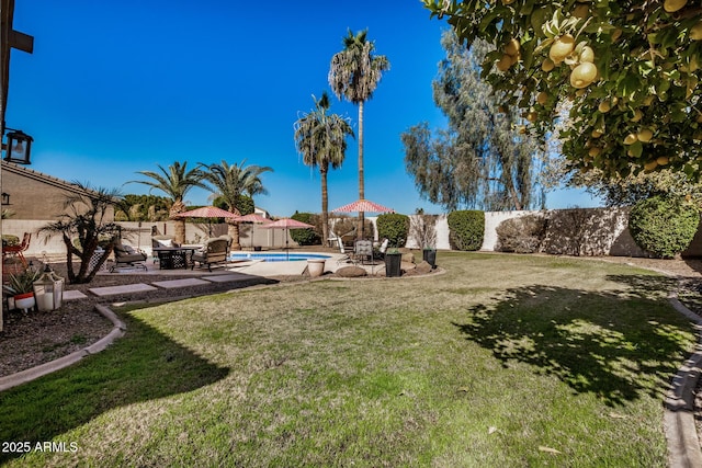 view of yard featuring a fenced in pool and a patio