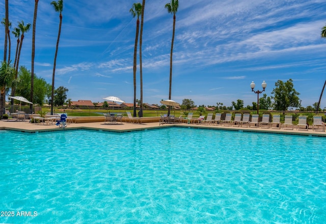 view of swimming pool