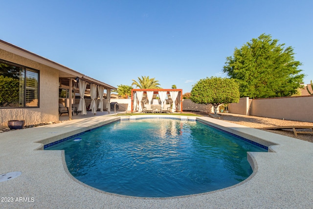 view of pool featuring a patio area