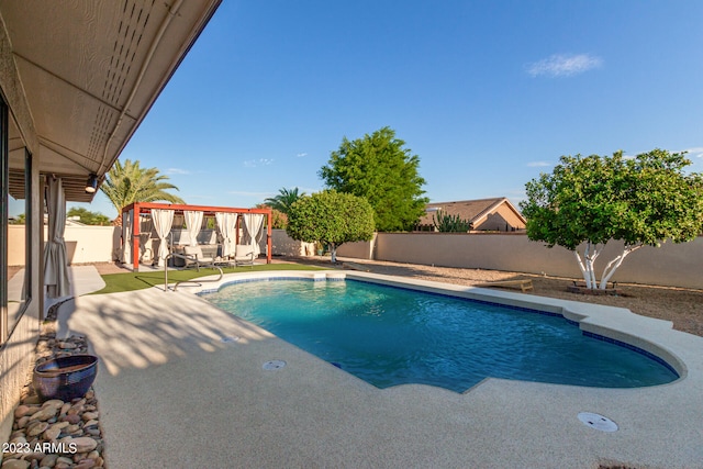 view of pool featuring a patio area