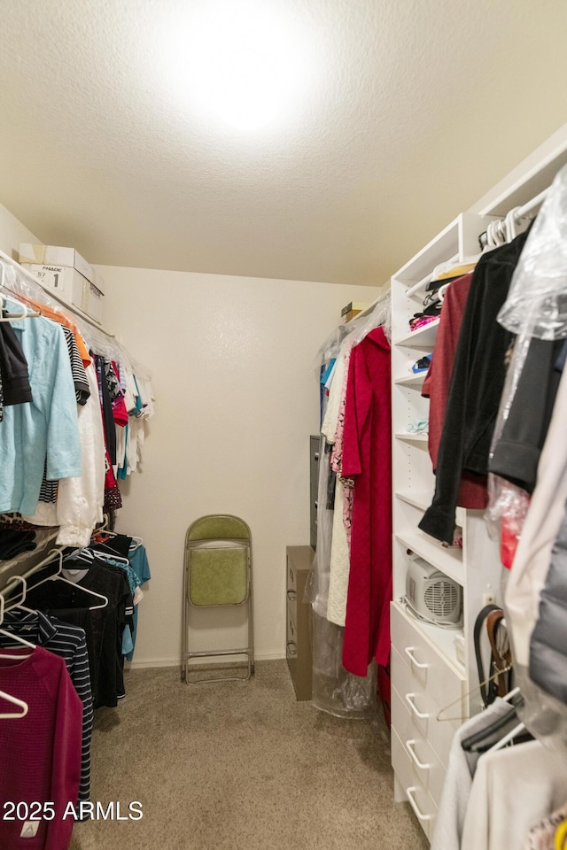 walk in closet with light colored carpet