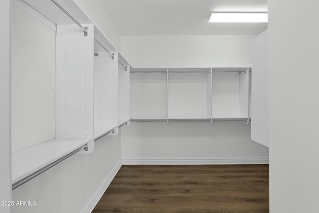 7917 S 32nd Ter, Phoenix, AZ 85042 - walk in closet with dark wood-type flooring