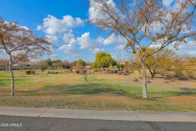 7917 S 32nd Ter, Phoenix, AZ 85042 - view of property's community with a lawn