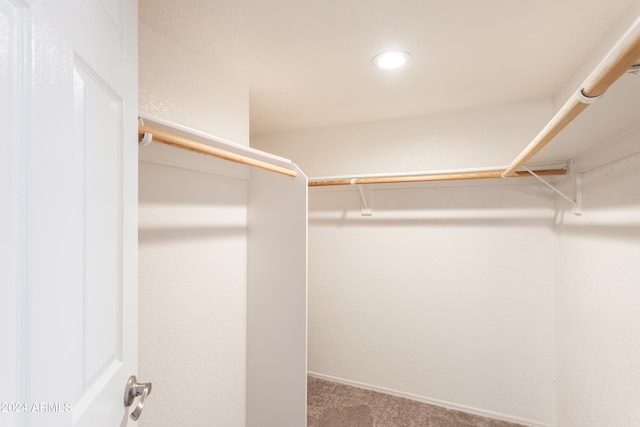 spacious closet featuring carpet floors