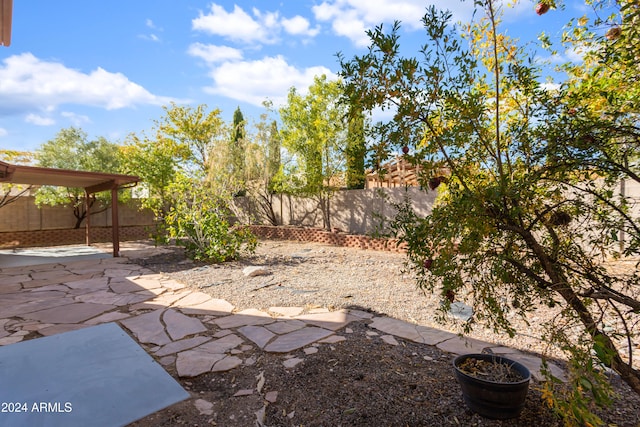 view of yard with a patio area