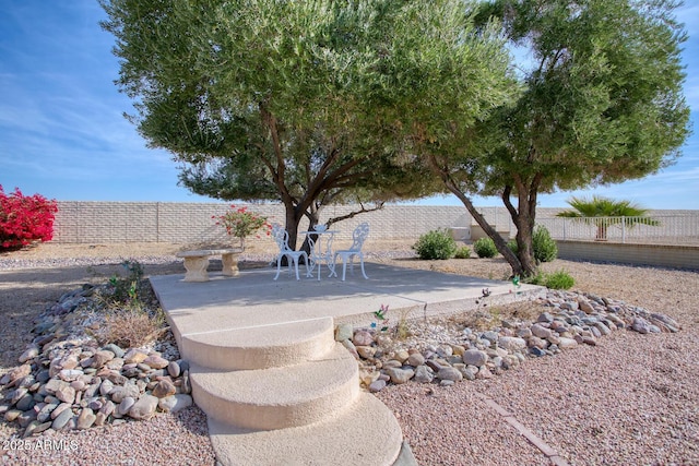 view of yard with a patio