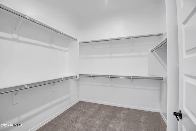 walk in closet featuring dark carpet