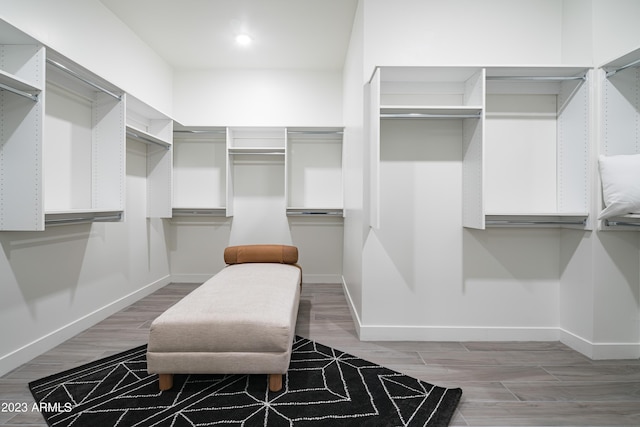 spacious closet with light wood-type flooring