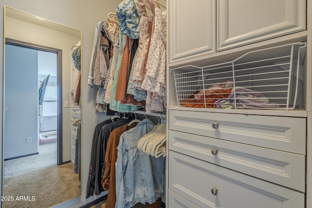 25930 N 165th Ln, Surprise, AZ 85387 - spacious closet featuring carpet