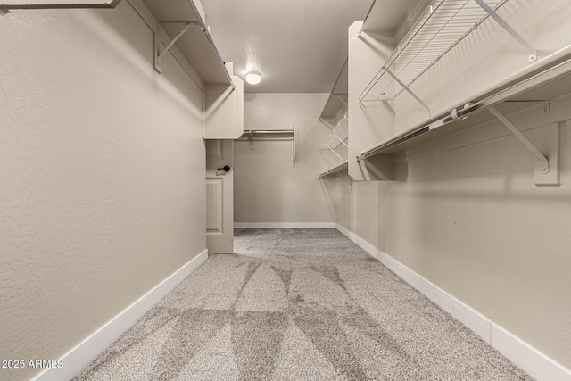 walk in closet with carpet