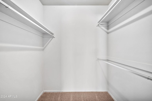 walk in closet featuring carpet