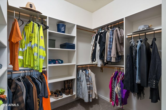 walk in closet with carpet flooring