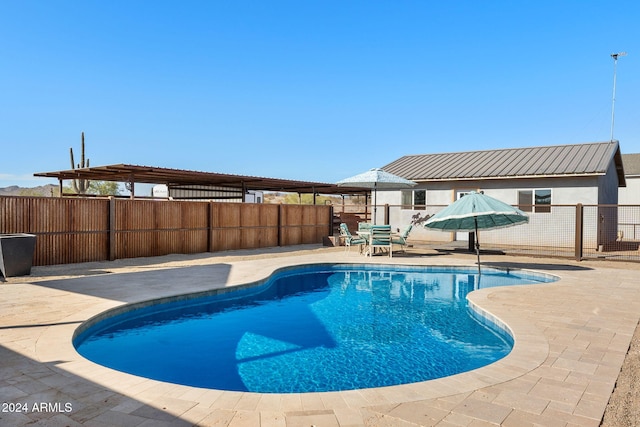 view of pool featuring a patio area