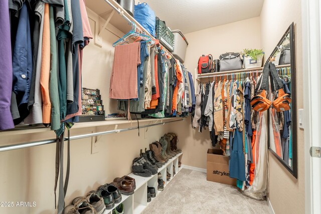 spacious closet featuring carpet flooring