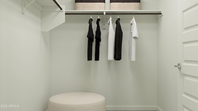 view of walk in closet