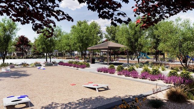 view of community with playground community