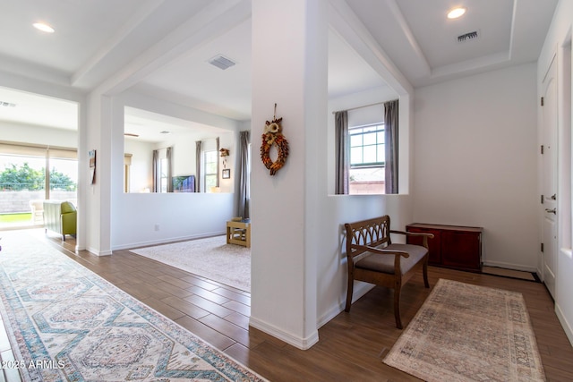 entrance foyer with a raised ceiling