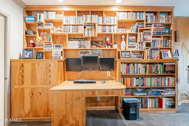 office area with carpet