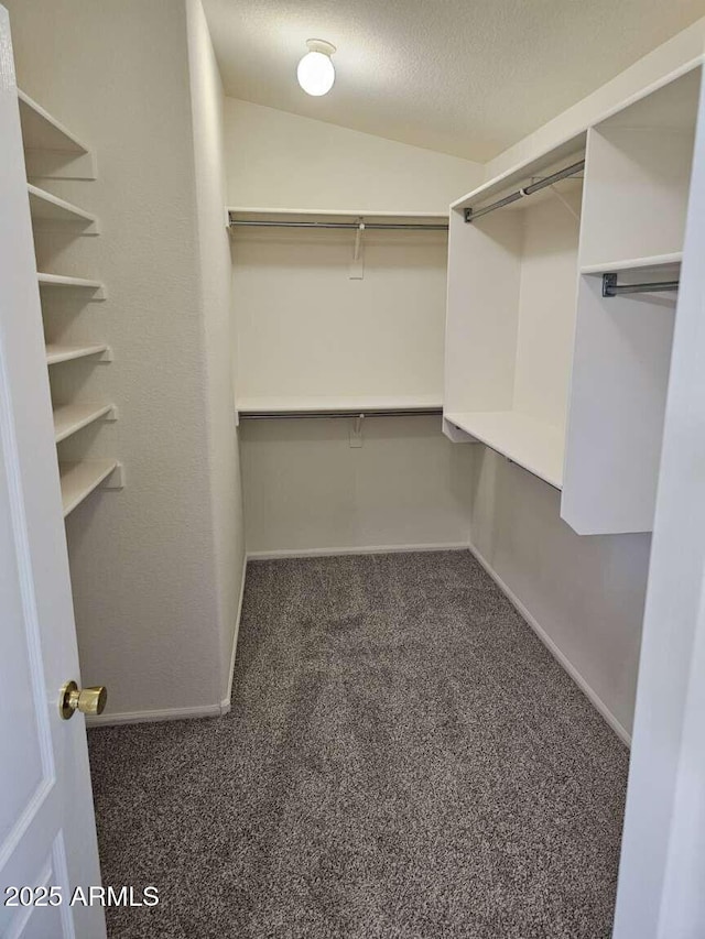 4613 W Fawn Dr, Laveen, AZ 85339 - walk in closet with carpet