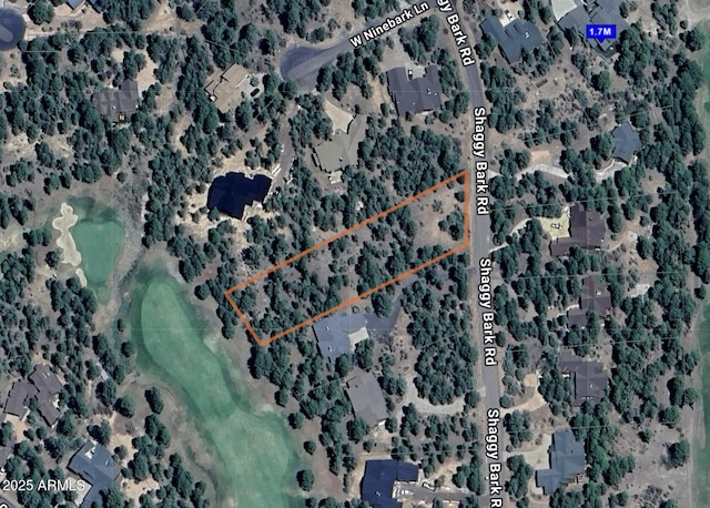 3993 W Shaggybark Rd Unit 339, Show Low, AZ 85901