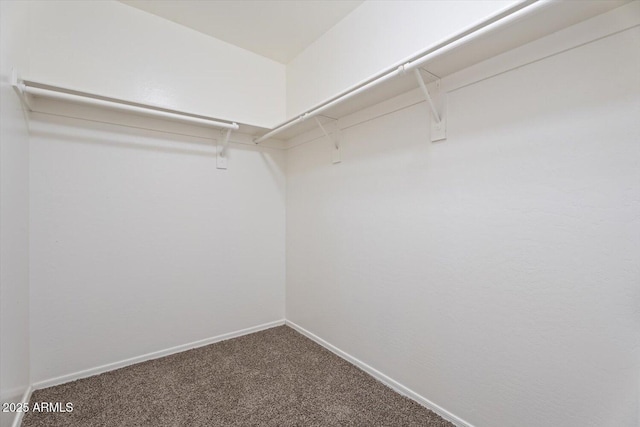 1510 W Fillmore St, Phoenix, AZ 85007 - spacious closet with carpet floors