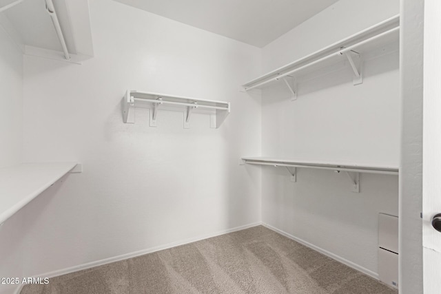 spacious closet with carpet