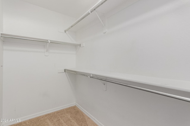 walk in closet with light colored carpet