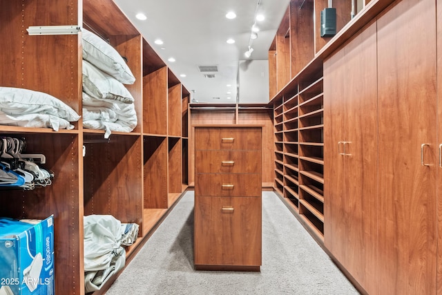 walk in closet with light carpet