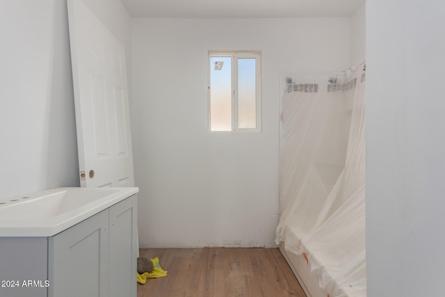 bathroom with wood-type flooring and vanity