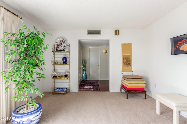 sitting room featuring carpet flooring