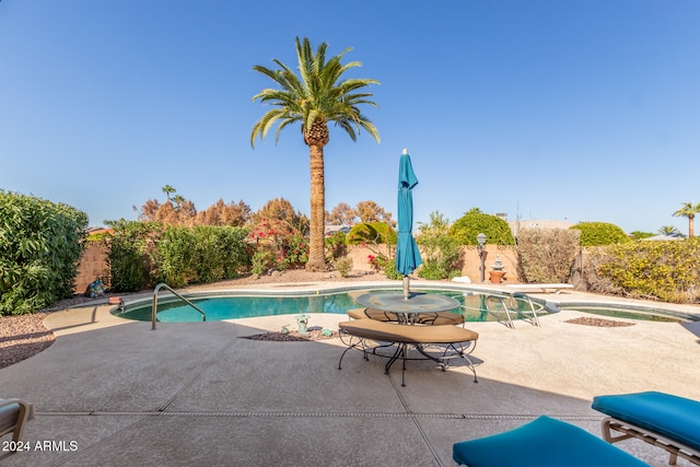 view of swimming pool with a patio, a jacuzzi, and a diving board