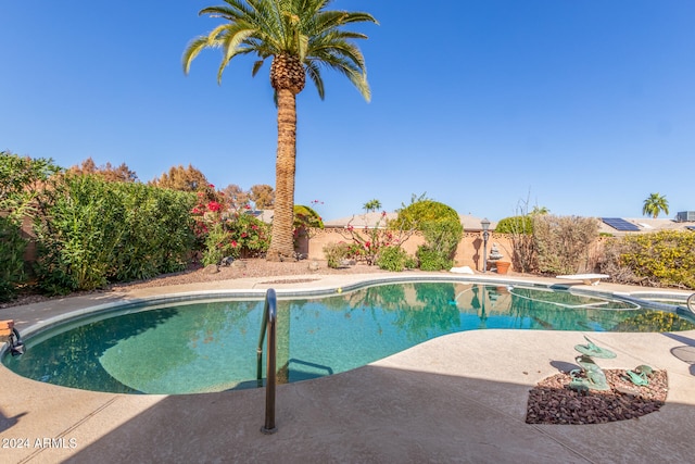 view of swimming pool featuring a diving board and a patio area