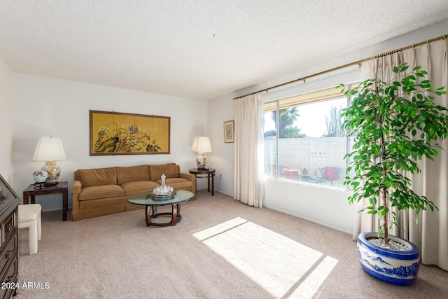 living room featuring a textured ceiling and carpet flooring