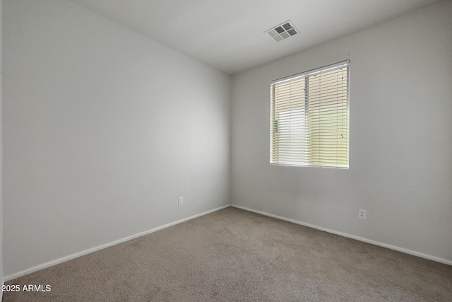 spare room featuring carpet floors