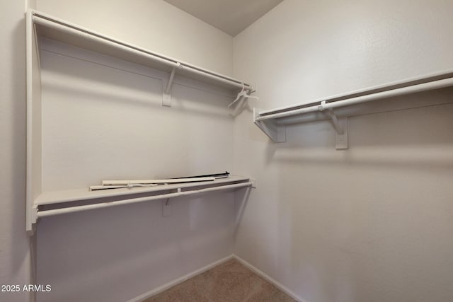 spacious closet featuring carpet floors